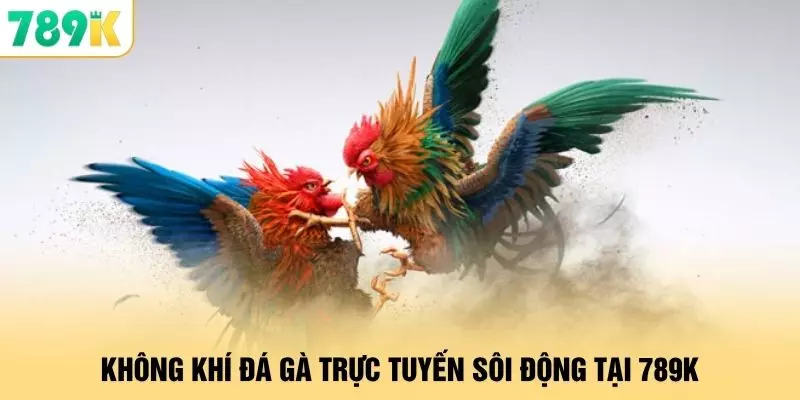 Đá Gà - 24 Giờ Tranh Tài Kịch Tính Tại Địa Chỉ 789K 1 Không khí đá gà trực tuyến sôi động tại 789K