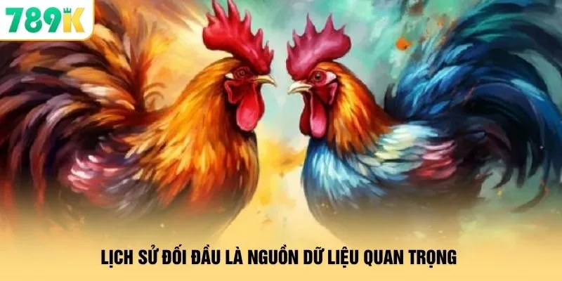 Gà Chọi Việt Nam 789K - Cửa Cược Giúp Gom Thưởng Cực Đậm 4 Lịch sử đối đầu là nguồn dữ liệu quan trọng